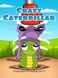 Crazy Caterpillar gratuito