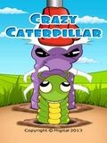 Crazy Caterpillar безкоштовно