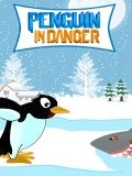 Pinguin in Gefahr - (240x320)