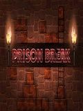 Prison Break I