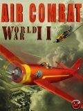 Combate Aéreo Guerra Mundial 2