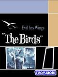 The Birds: Evil Has Wings