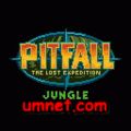 Pitfall The Lost Expedition: Jungle