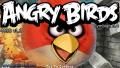 Angry Birds 1.1（360x640）