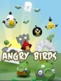 Angry Birds Winter Edition (Alle Größen)