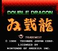Double Dragon (Nescube)