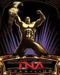 AMA TNA Wrestling
