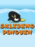 Skliding Penguin