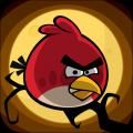 Angry Birds Dia das Bruxas HD