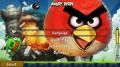 Angry Birds in der Stadt