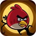 Angry Birds Halloween [नोकिया 5230]