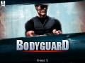 Bodygaurd游戏（320X240）
