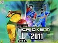 Cricket 2011