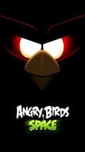 Angry Bird Space (Pełna wersja)