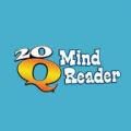 20Q Mind Reader cho điện thoại di động Java 240x320