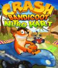 Crash Bandicoot: Нитро Карт 2