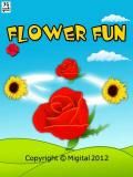 Flower Fun