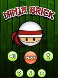 Bricks Ninja 480x800