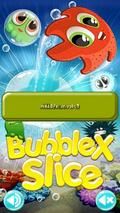 Bubble X Slice
