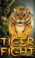 Tiger Fight