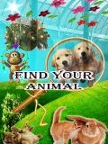 Найдите своих животных