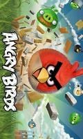 Angry Birds Asli