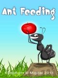 Ameisenfütterung frei