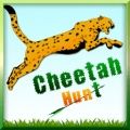 Caça Cheetah