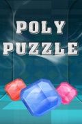 Puzzle poli