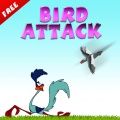 Ataque de aves
