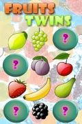 Früchte Zwillinge