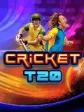 لعبة الكريكيت T20