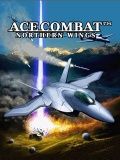 Ace Combat Kuzey Kanatları