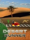 Desert Runner
