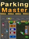 Mestre de estacionamento