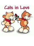 Кошки в любви
