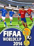 FIFA World Sup 2014 320x240
