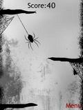 Runaway Spider