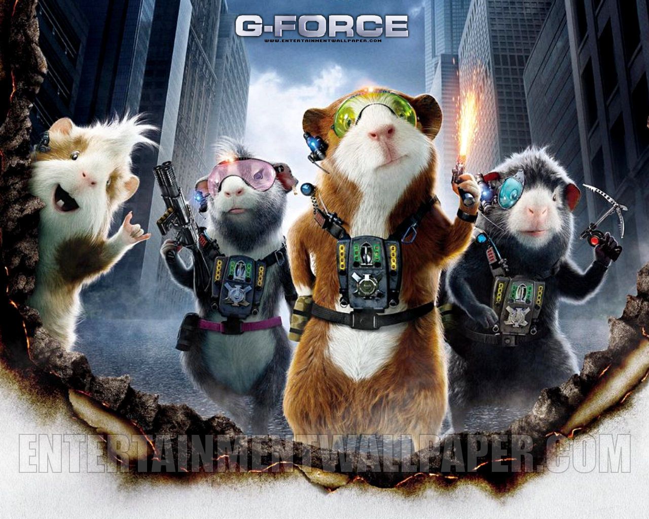 G force. Миссия Дарвина хомяк. Морская Свинка миссия Дарвина. Миссия Дарвина / g-Force. Боевой хомяк.