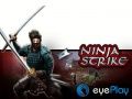 Ninja Strike HD
