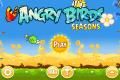 Angry Birds Summer Pignic