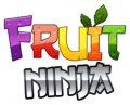 Fruit Ninja Pro
