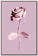 Różowy pastelowy płatek