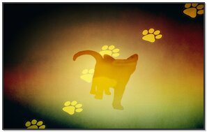 Therian Paw Symbol wallpaper by wolfiefang98 - Download on ZEDGE