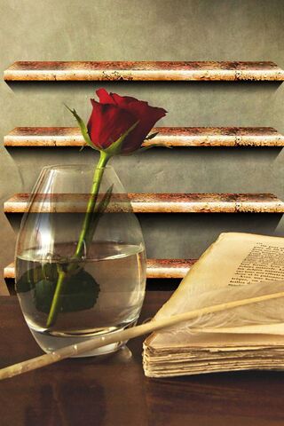 Red Rose and Book Hd