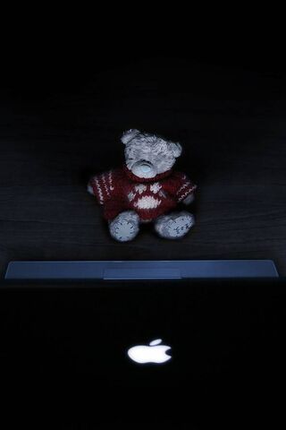 Teddy and Laptop