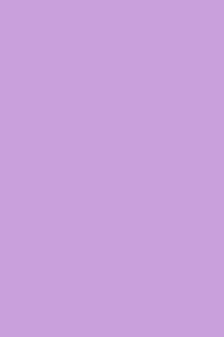 Vibrant Vibes: The Elec..