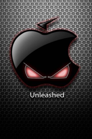 The Bold Bite: Unleashi..
