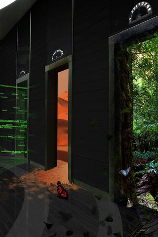 Navigating Life's Choices 🌟