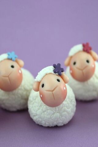 Woolly Wonders: The Cha..